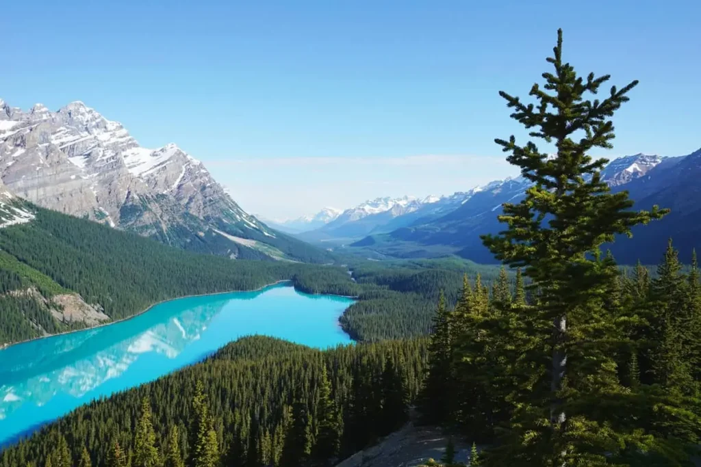 Coolcations-2025-Peyto-Lake-Canada